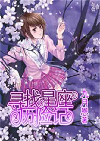 流星蝴蝶剑